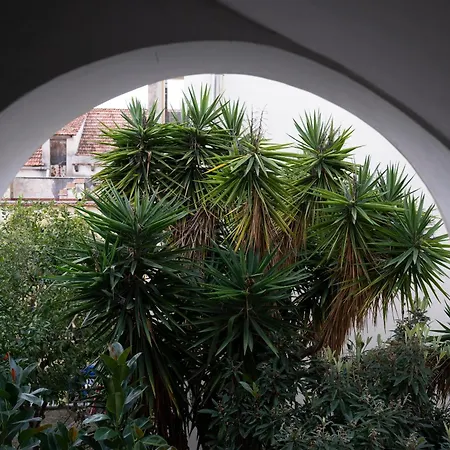 Casa Dafne Historical Center Wonderful Rooftop Sorrent