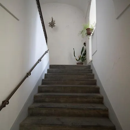 Casa Dafne Historical Center Wonderful Rooftop Ferienhaus *